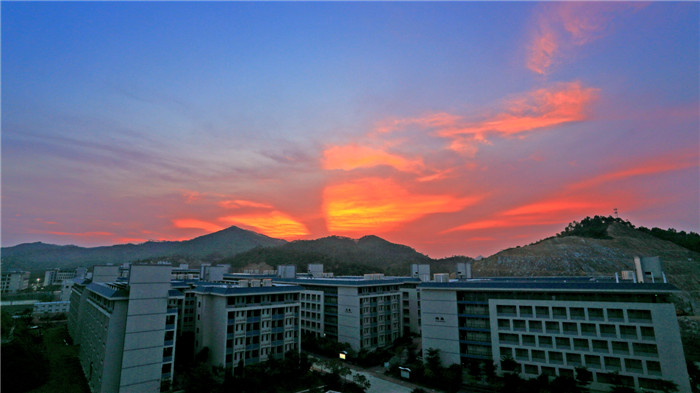 ѧ������