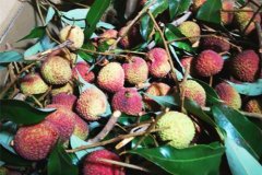 ��������š�������������֦�䱦�䡱����